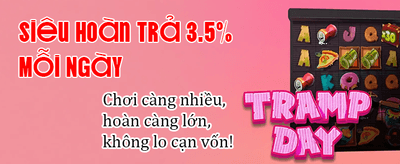 Thể Thao Tốc Độ Đỉnh Cao